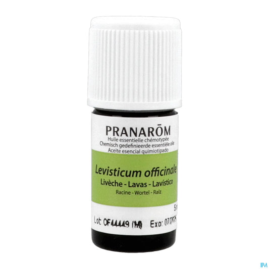 Huile Essentielle Livèche 5 mL