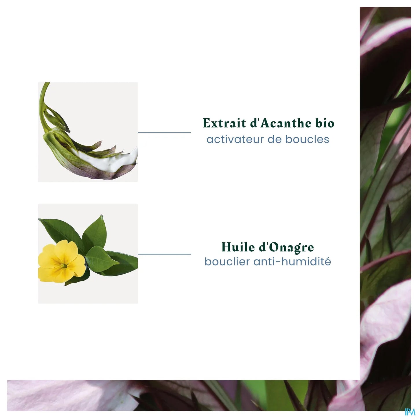 Sublime Curl Crème Bouclante Nutritive 100ml