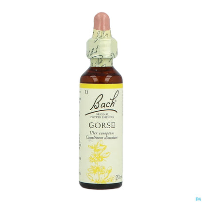 Gorse originale 20ml
