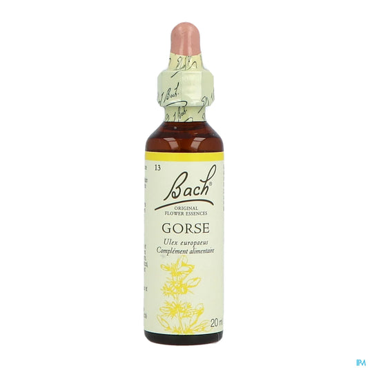 Original Gorse 20ml