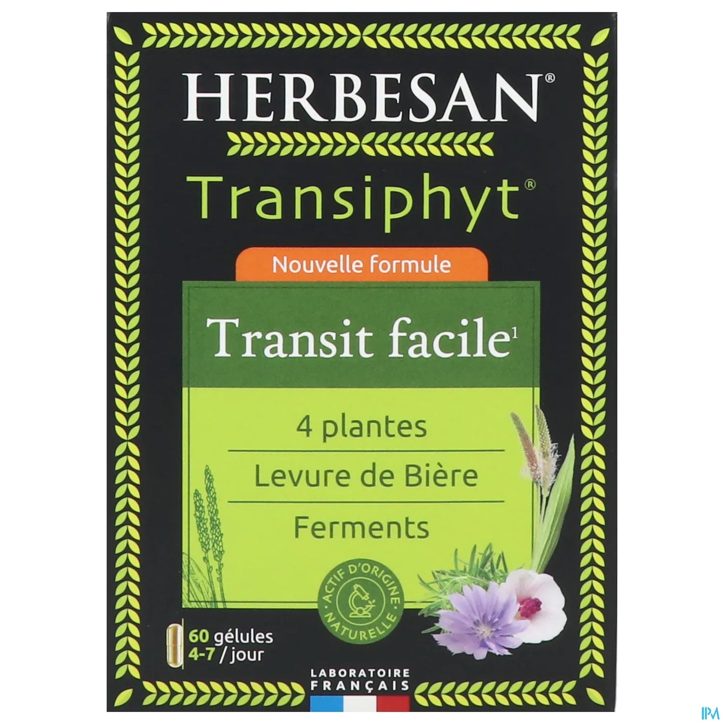 Transiphyt 60 Capsules Intestinal Transit