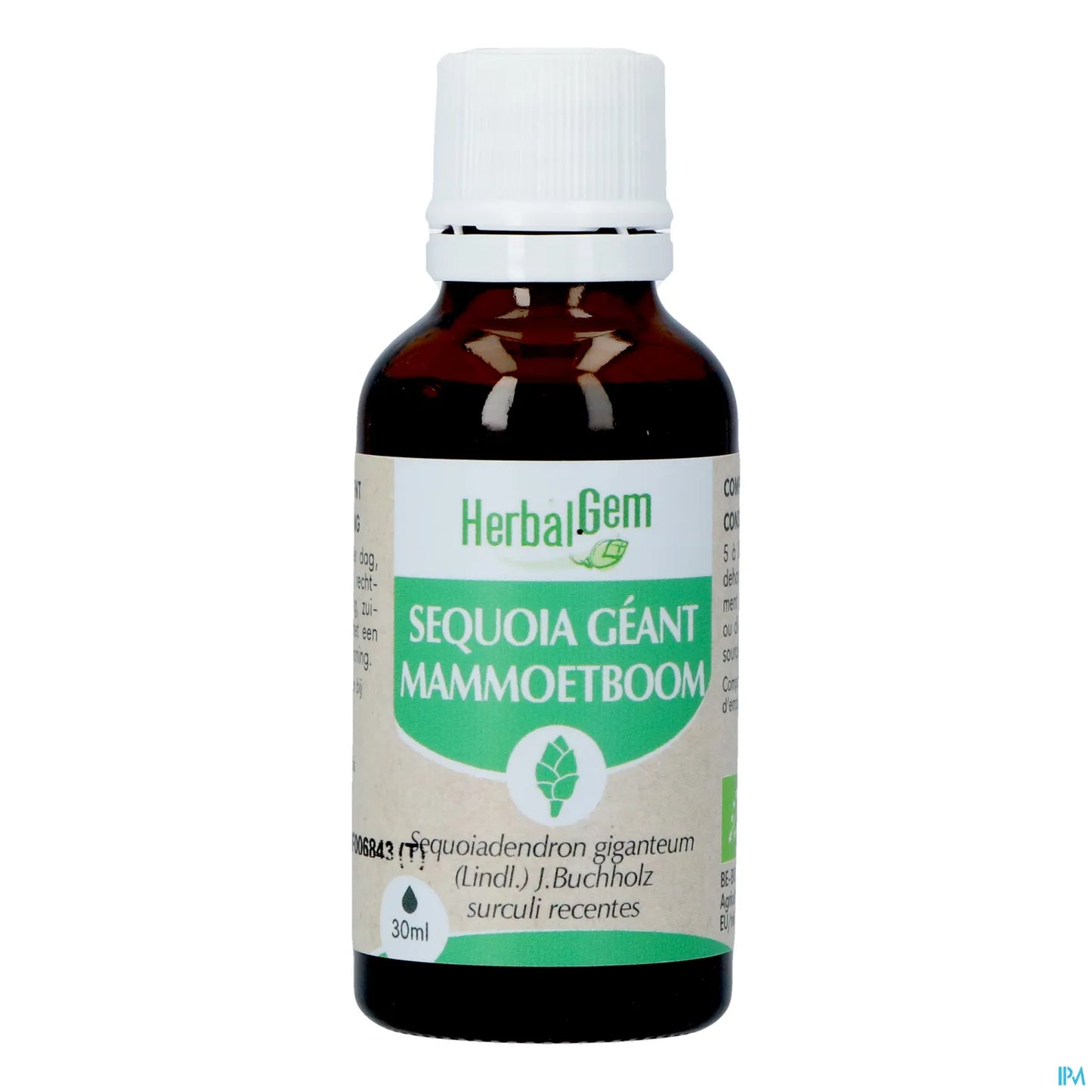 Macérat Mère Séquoia Bio 30 mL