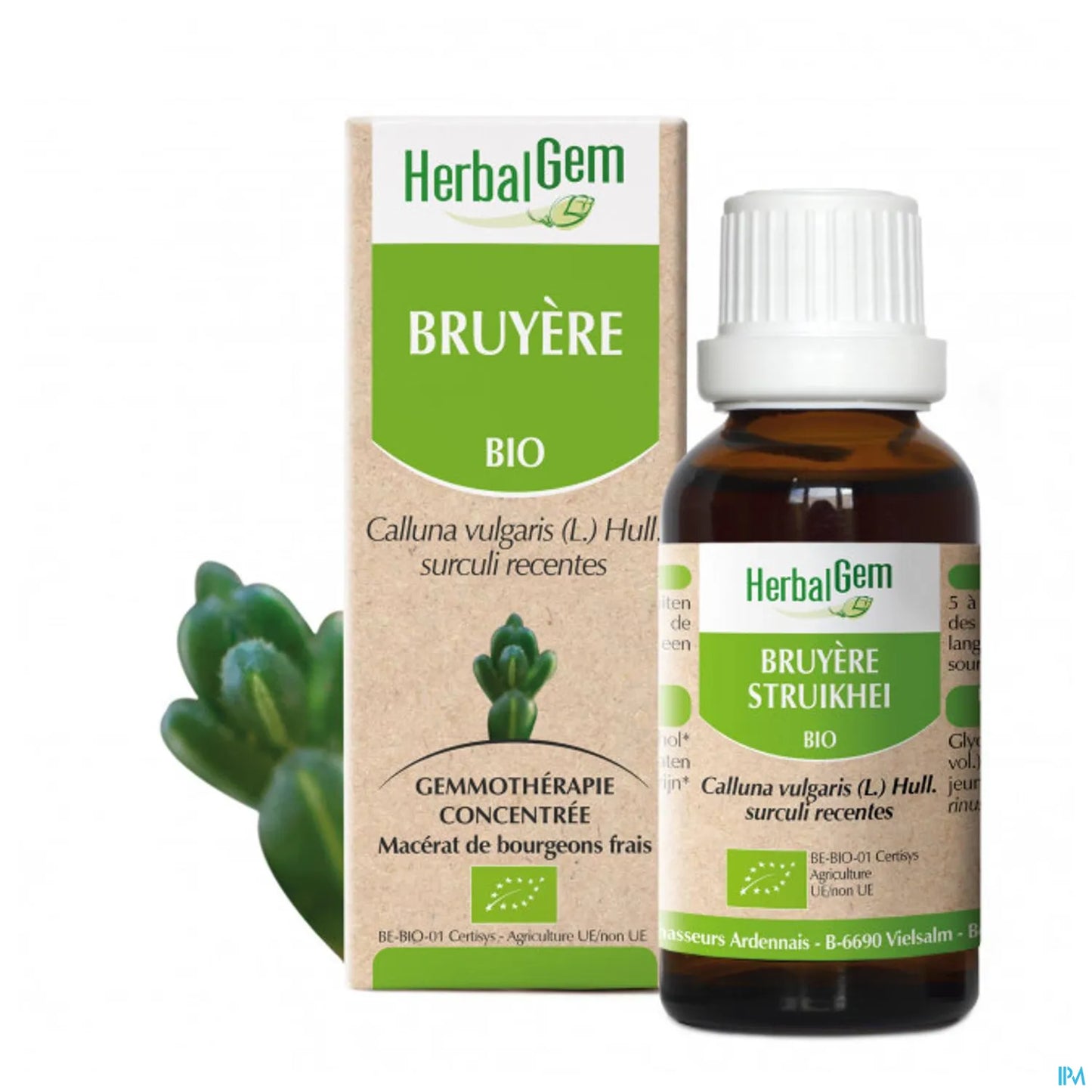 Macérât Mère Bruyère 30 mL Bio