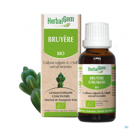 Macérât Mère Bruyère 30 mL Bio