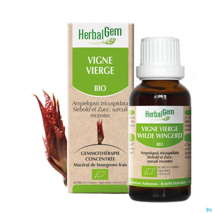 Vigne Vierge Bourgeon Macérat Bio 30 mL