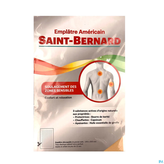 Saint Bernard American Plaster Large Model 190x300mm