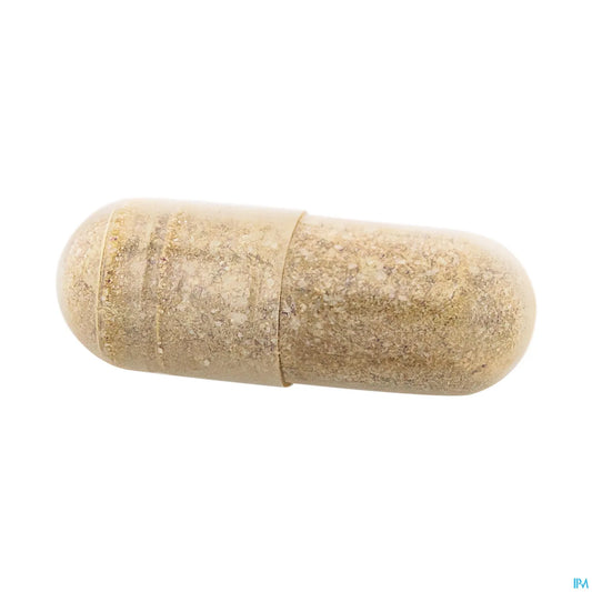 Anacaps Expert Hair Loss 90 capsules