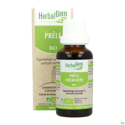 Macérat Mère Prêle Bio 30 mL