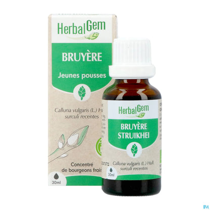Macérât Mère Bruyère 30 mL Bio
