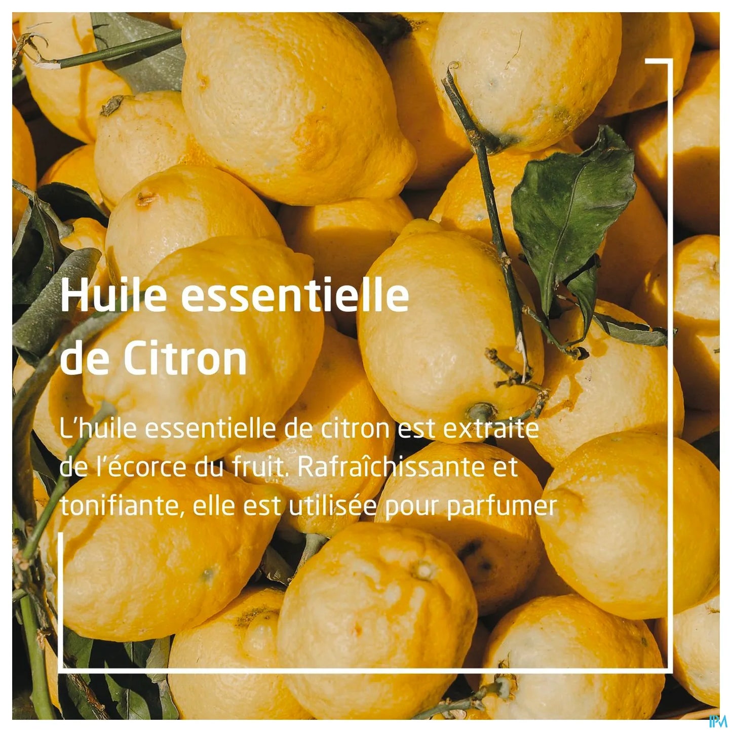 Weleda Déodorant 24H au Citrus Roll on 2 x 50 mL