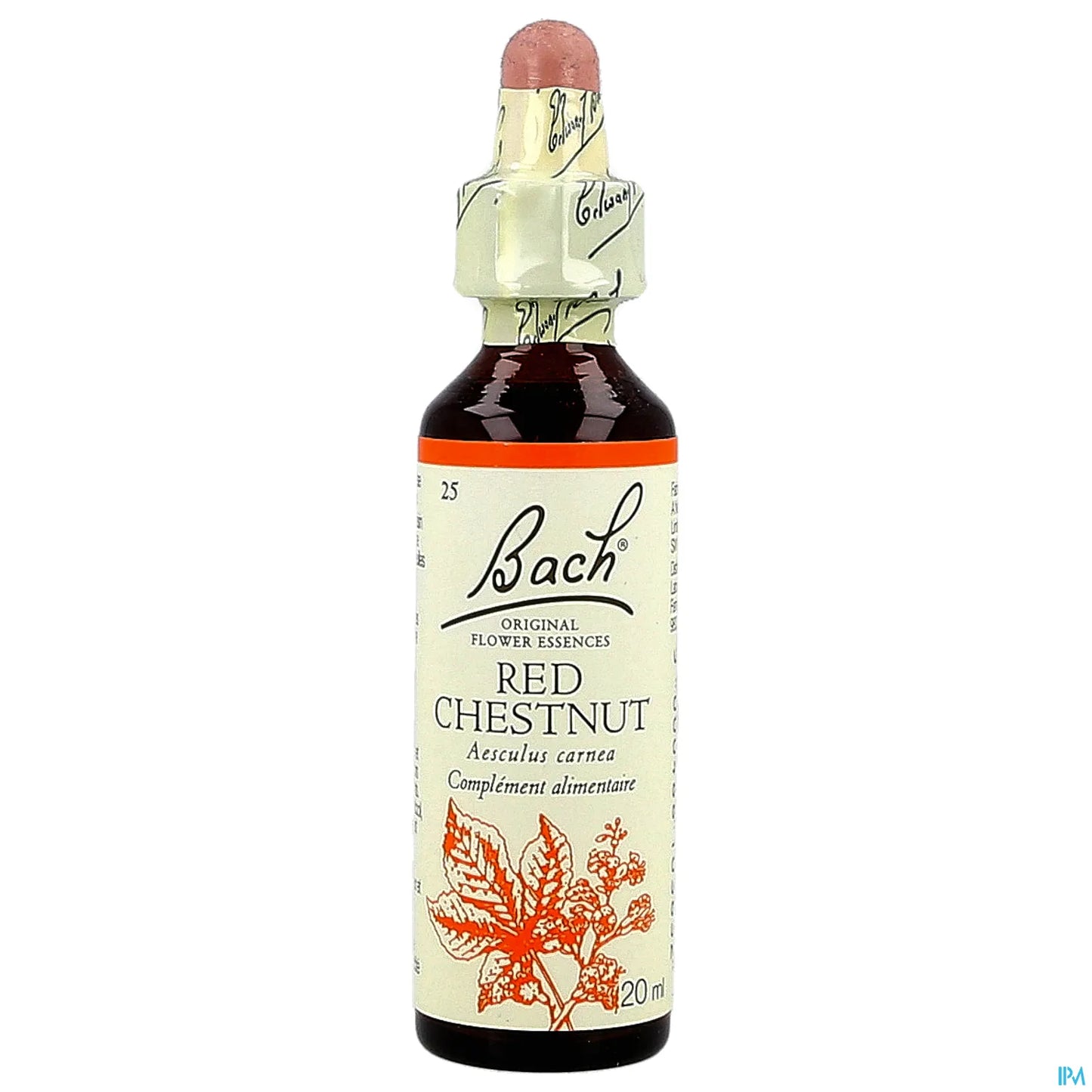 Red Chestnut (Marronnier Rouge) 20ML