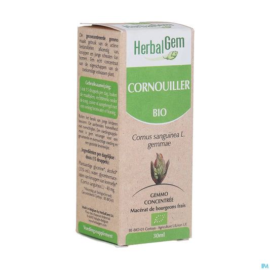 Cornouiller Bourgeon Bio 30 mL