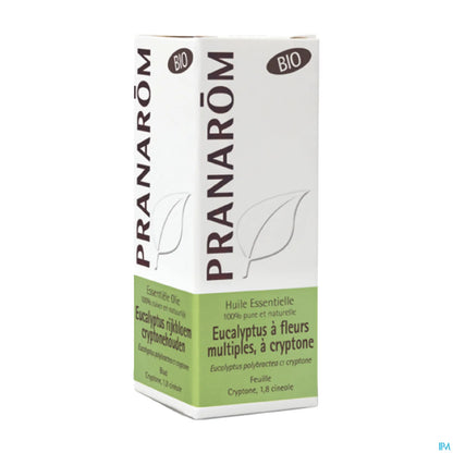 Huile Essentielle Eucalyptus à Fleurs Multiples Bio 10 mL