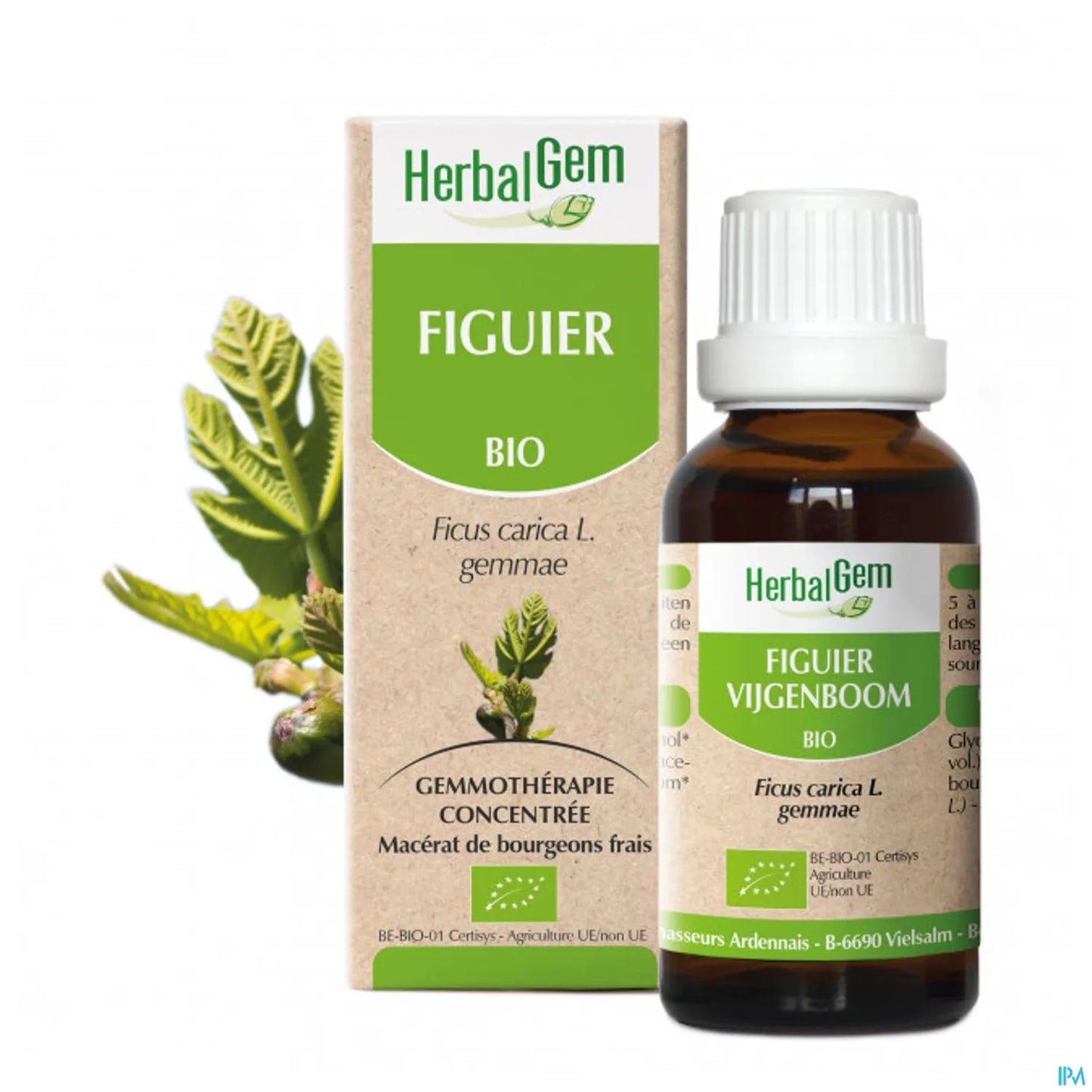 Macerato di madre di fico biologico 30 ml