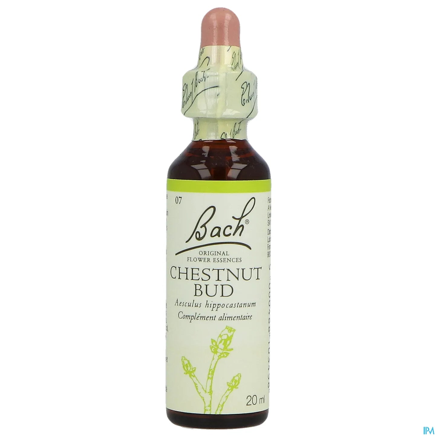 Chestnut Bud N°07 Fleurs de Bach 20ml