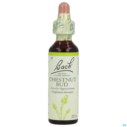 Chestnut Bud N°07 Fleurs de Bach 20ml