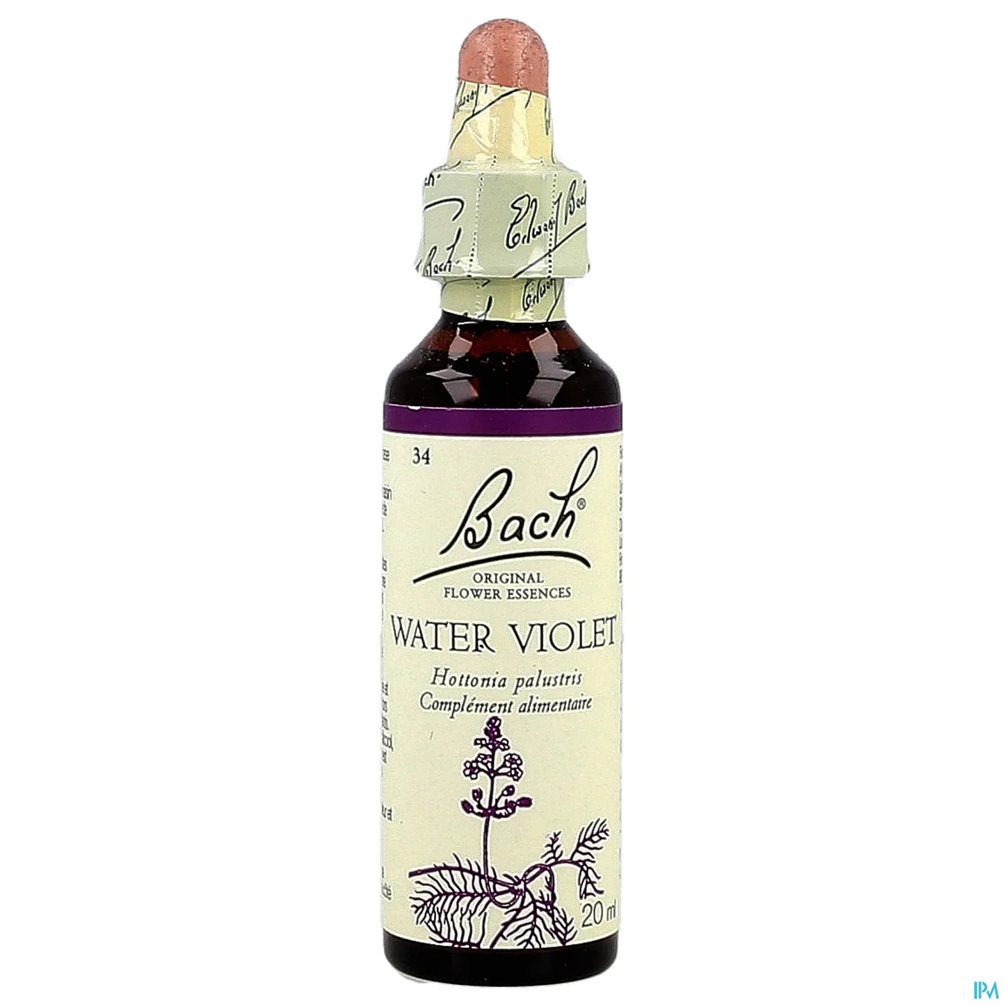 N°34 Water Violet 20ml