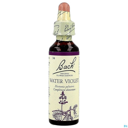 N°34 Water Violet 20ml