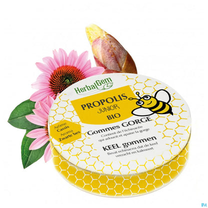 Propolis Junior Bio Gommes Gorge 45g