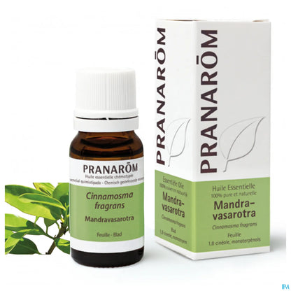Mandravasarotra Bio 10 mL