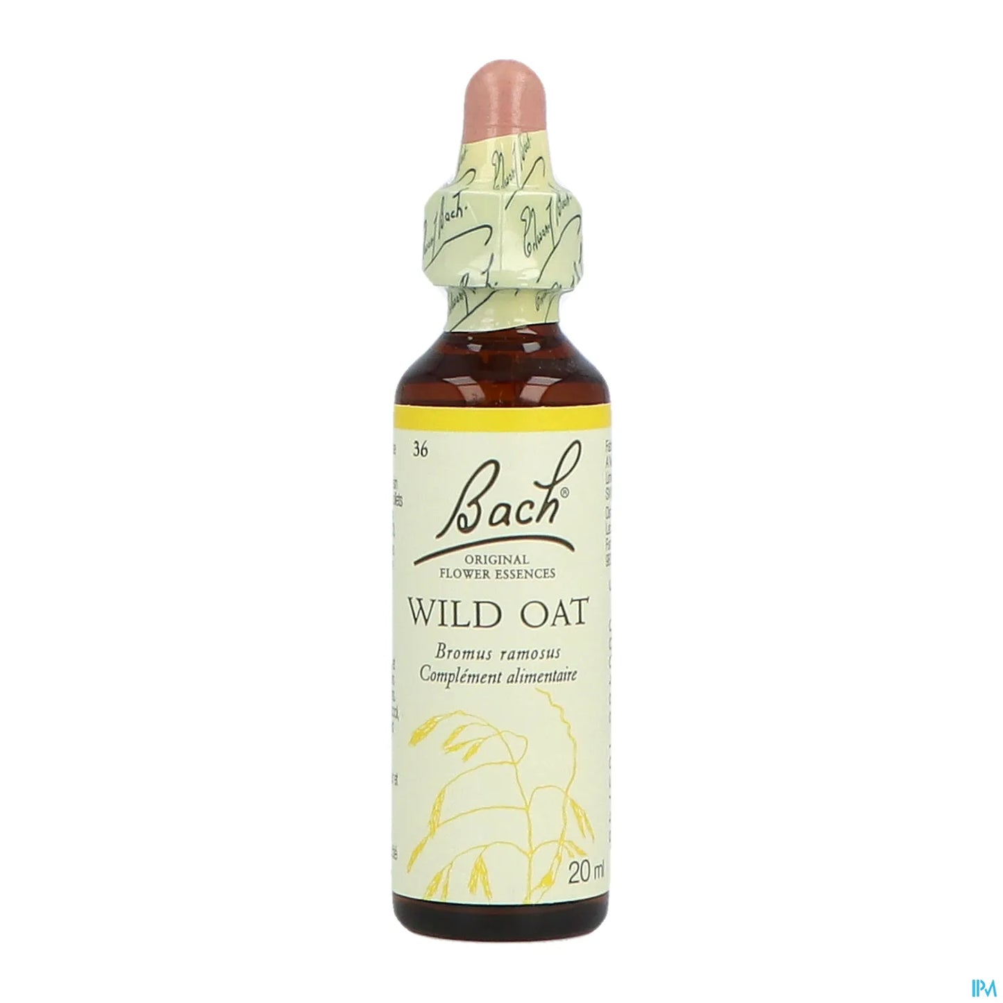 Wild Oat - 20 ml