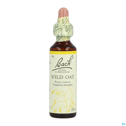 Wild Oat - 20 ml