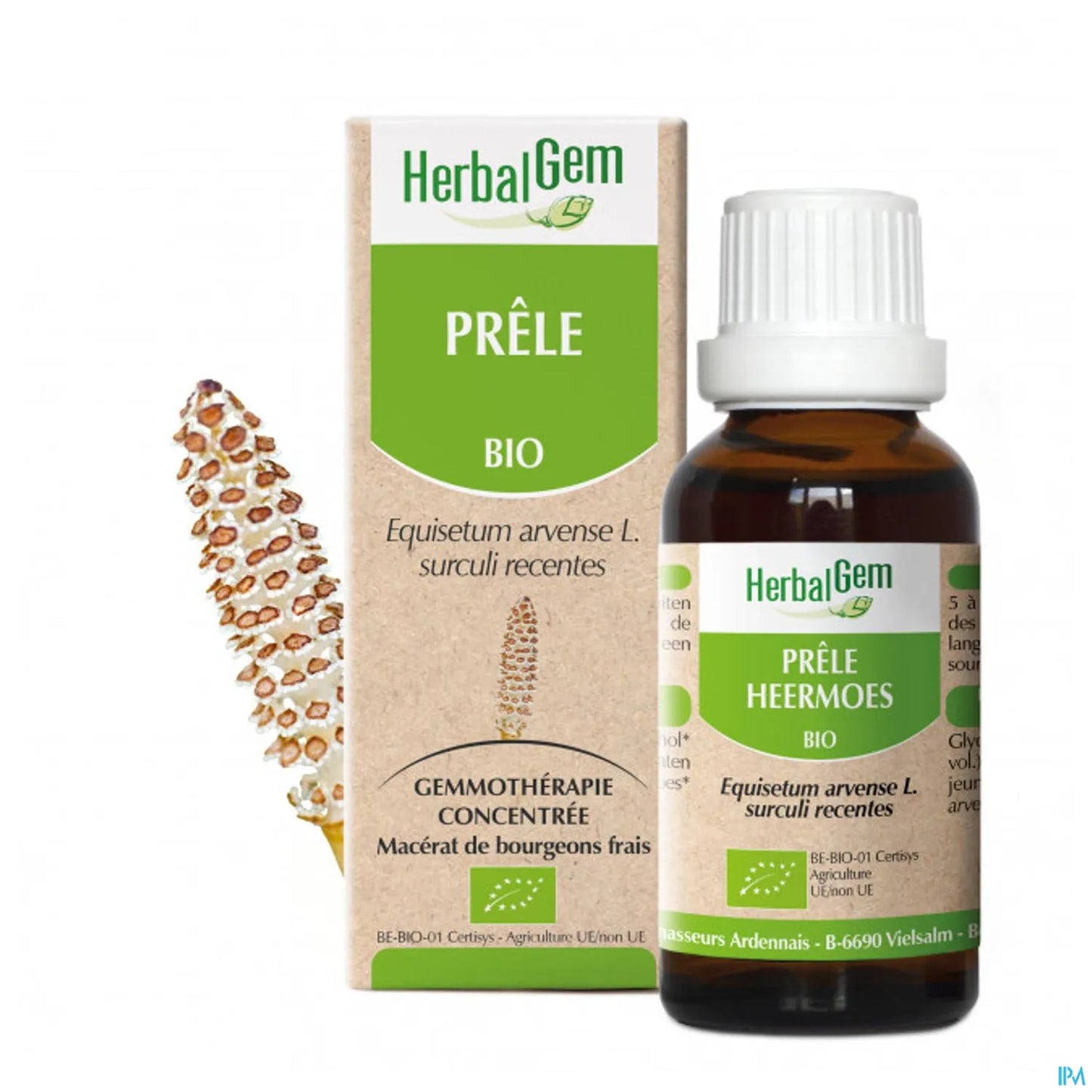 Macérat Mère Prêle Bio 30 mL