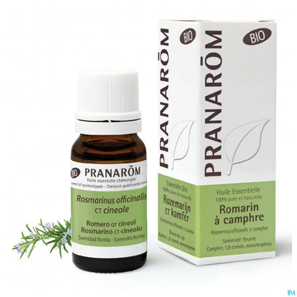 Huile Essentielle de Romarin à Camphre Bio 10ml