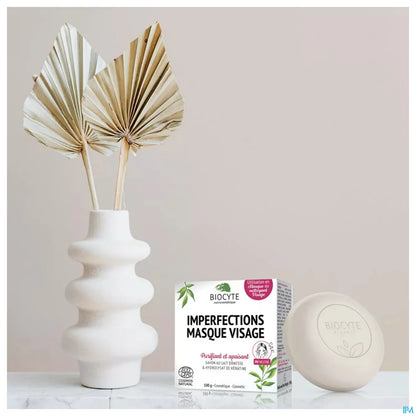 Masque Visage Imperfections 100 g