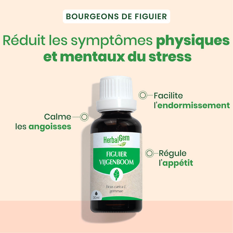 Duo di fico 30 ml + 15 ml