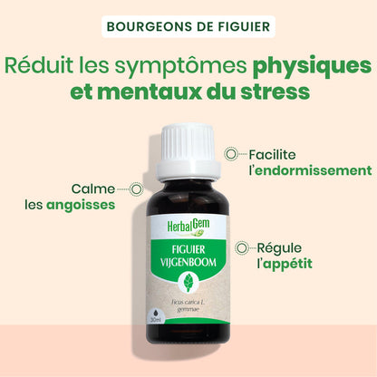Duo di fico 30 ml + 15 ml