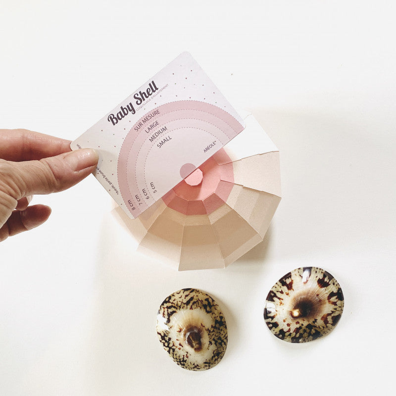 Coquillage D'Allaitement