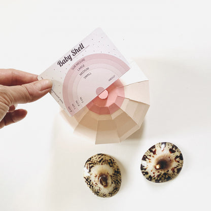 Coquillage D'Allaitement