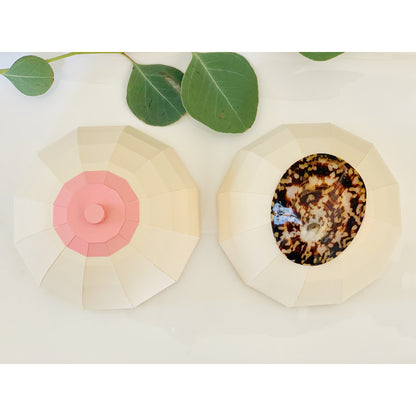 Coquillage D'Allaitement